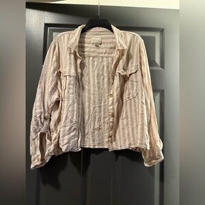 American Eagle Outfitters Beige Striped Buttondown